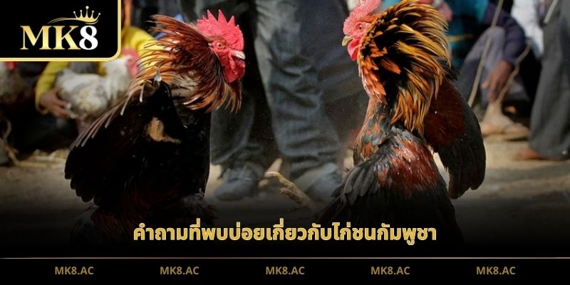 คำถามที่พบบ่อยเกี่ยวกับไก่ชนกัมพูชา